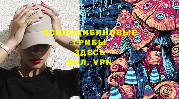 ПСИЛОЦИБИНОВЫЕ ГРИБЫ Беломорск