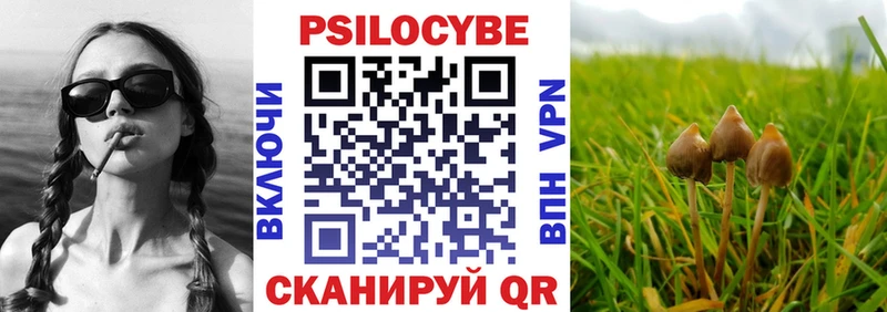 Галлюциногенные грибы мицелий Кораблино
